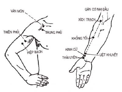 THỦ THÁI ÂM PHẾ KINH Mr Nam