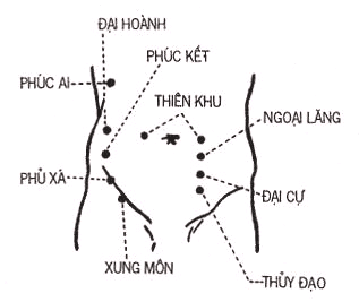 TÚC THÁI ÂM TỲ KINH Mr Nam