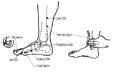 TÚC THÁI ÂM TỲ KINH Mr Nam