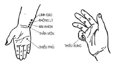 THỦ THIẾU ÂM TÂM KINH Mr Nam