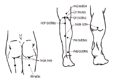 TÚC THÁI DƯƠNG BÀNG QUANG KINH Mr Nam