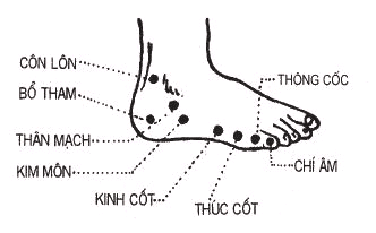 TÚC THÁI DƯƠNG BÀNG QUANG KINH Mr Nam